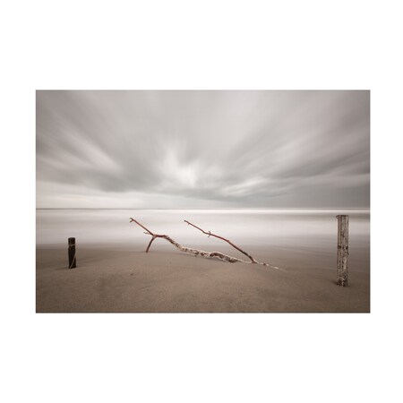 Massimo Della Latta 'In The Wind' Canvas Art, 30x47